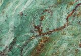Polished Fuchsite Chert (Dragon Stone) Slab - Australia #70860-1